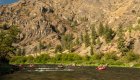 People rafting the Middle Fork Salmon River with mountains and trees behind the river