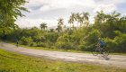 A person biking on a paved road through a lush green forest in Cuba